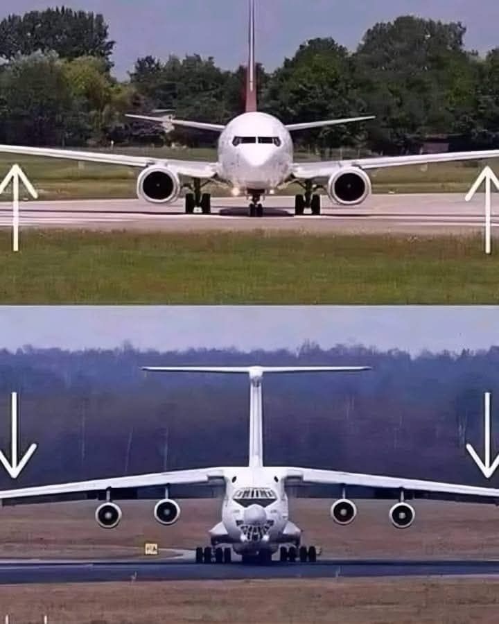 This isn’t just a design choice—it’s aeronautical engineering at work! Every detail on an aircraft serves a purpose based on its function, speed, and weight.