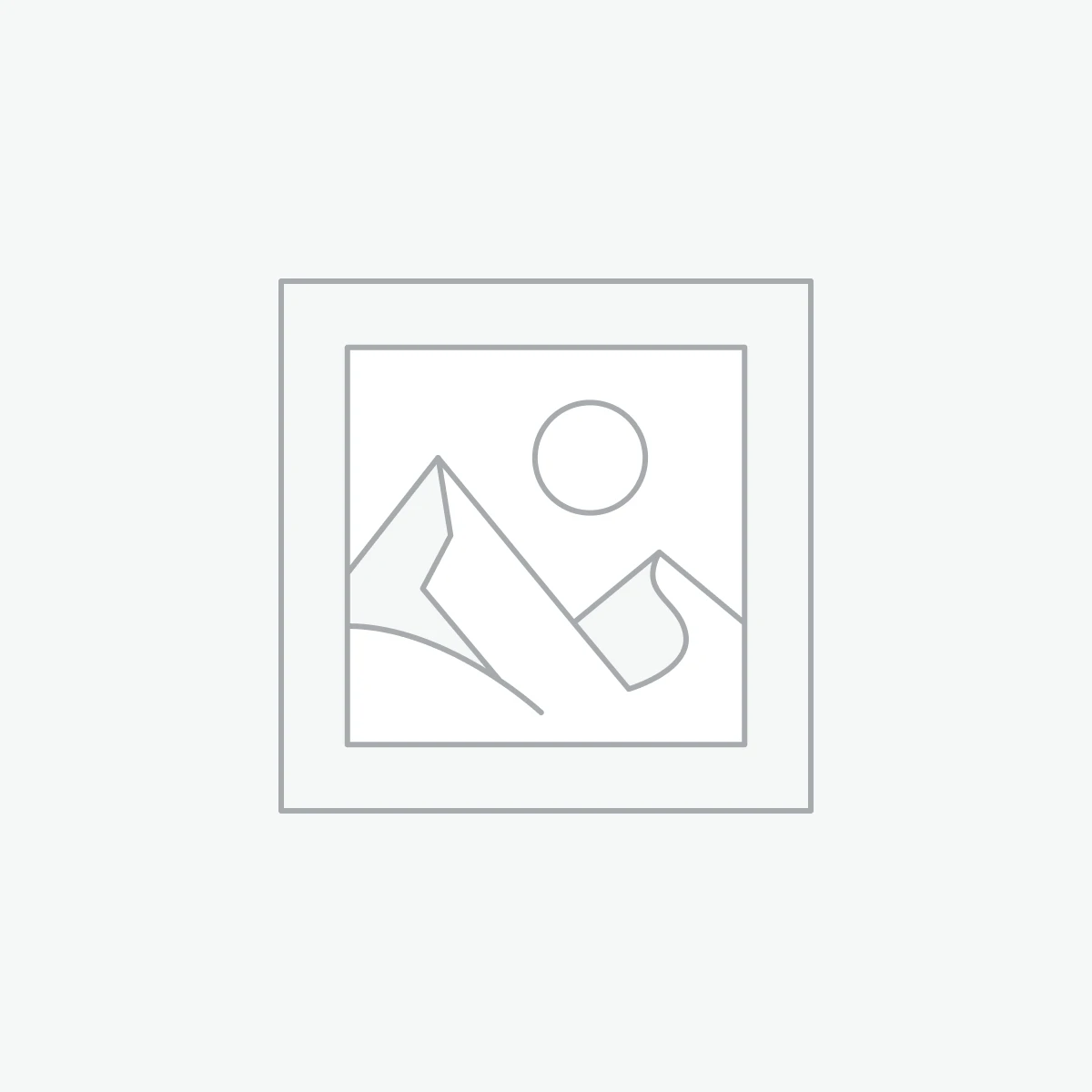 Stone Airplane Badge